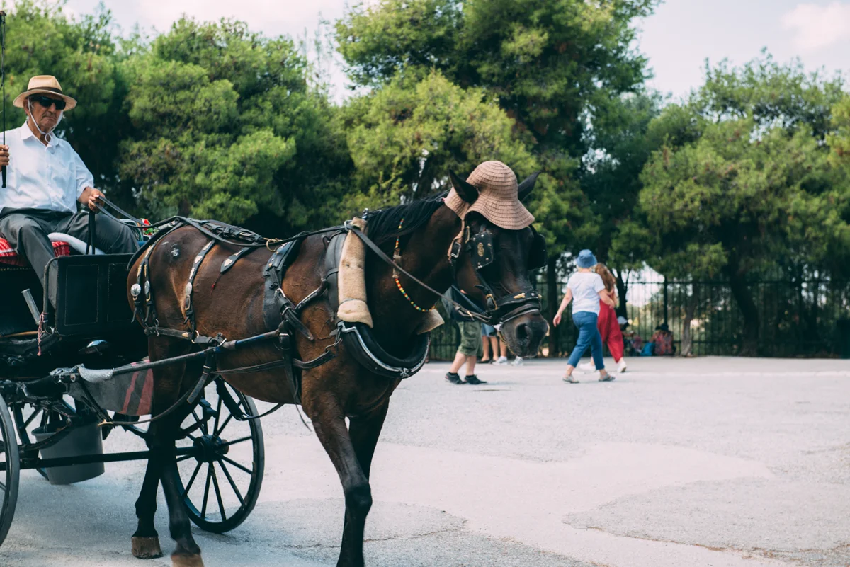 Athens Greece Blog Lola Photography_024.jpg