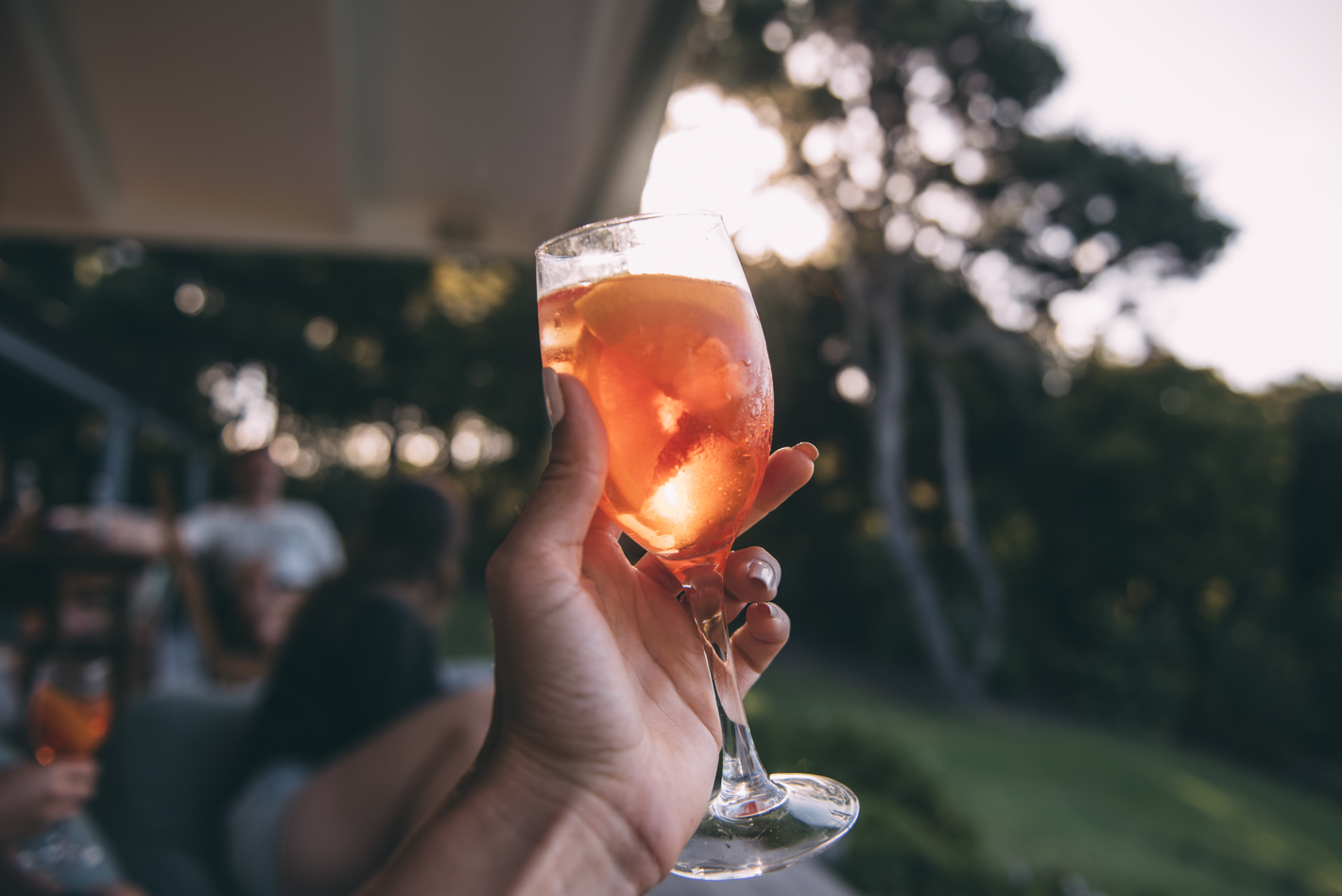 Rawhiti Northland Blog Lola Photography_046.jpg