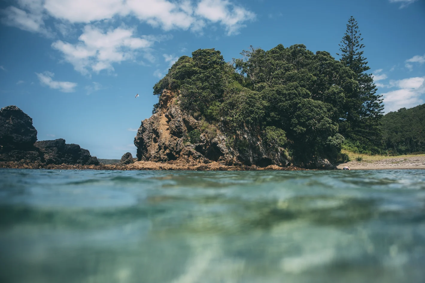 Rawhiti Northland Blog Lola Photography_081.jpg