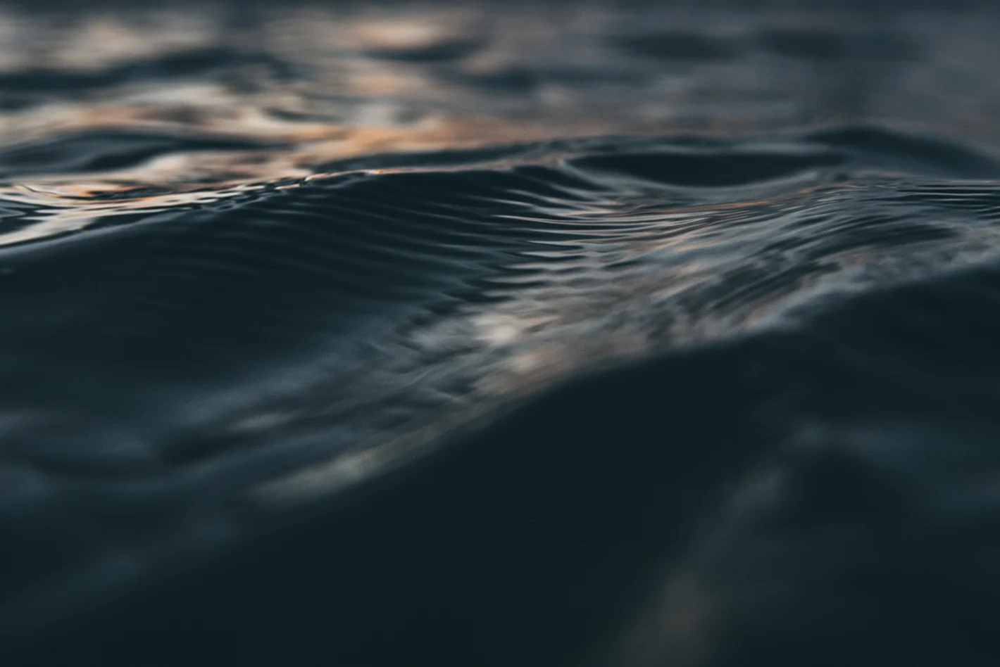 Rawhiti Northland Blog Lola Photography_206.jpg