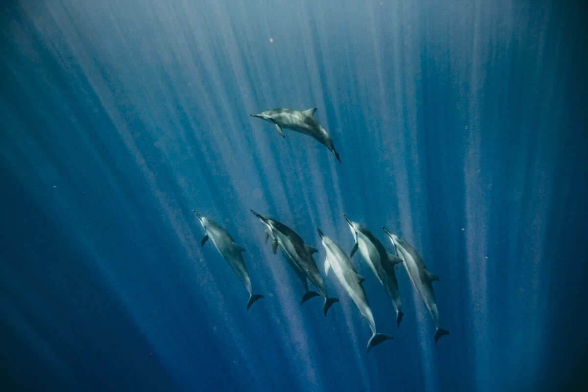 Hawaii_Blog_Lola Photography_066.jpg