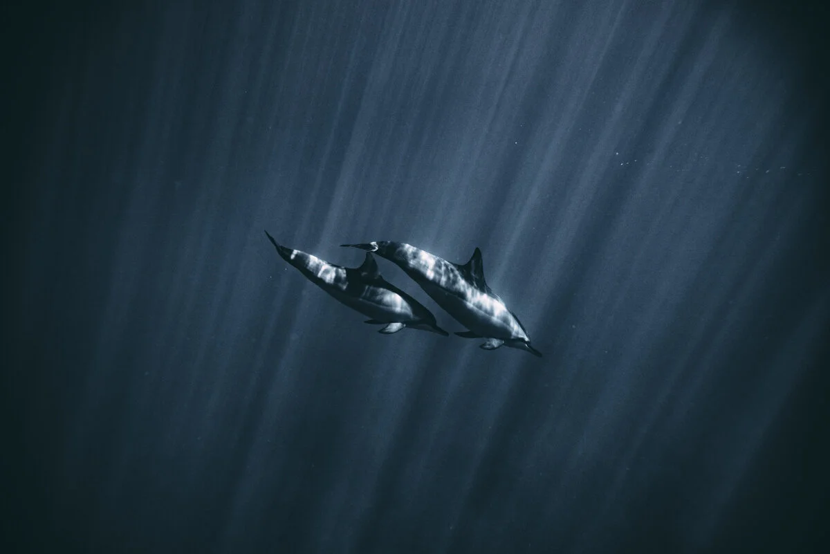 Hawaii_Blog_Lola Photography_073.jpg