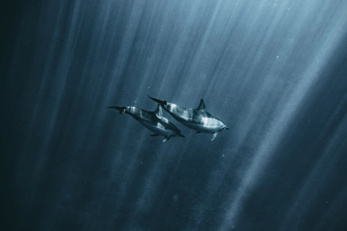 Hawaii_Blog_Lola Photography_074.jpg