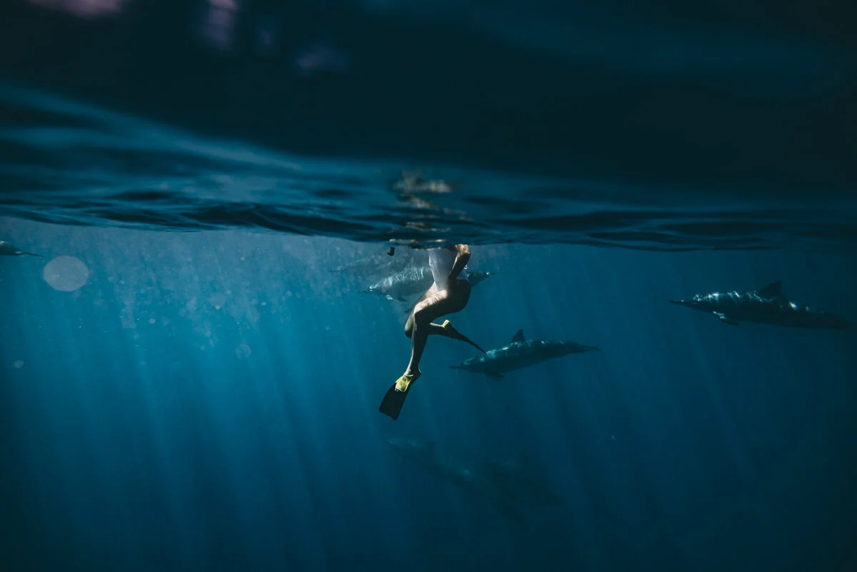 Hawaii_Blog_Lola Photography_079.jpg