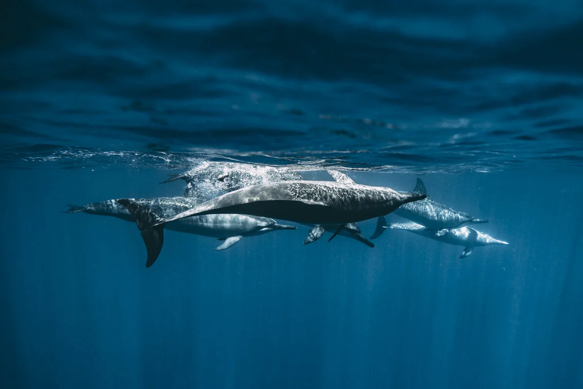 Hawaii_Blog_Lola Photography_084.jpg