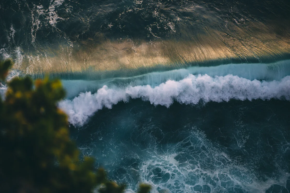 CaliPress X Lola LR_Forever Crashing.jpg