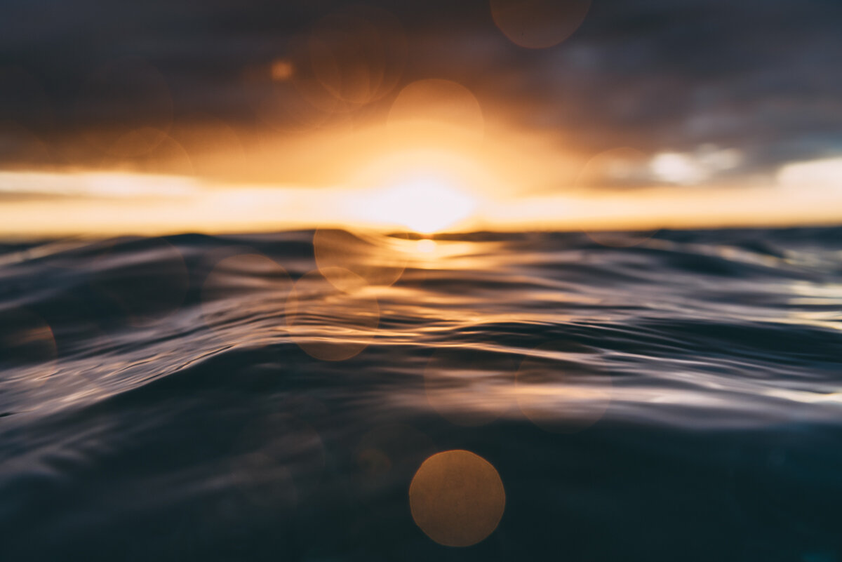 CaliPress X Lola LR_005.jpg