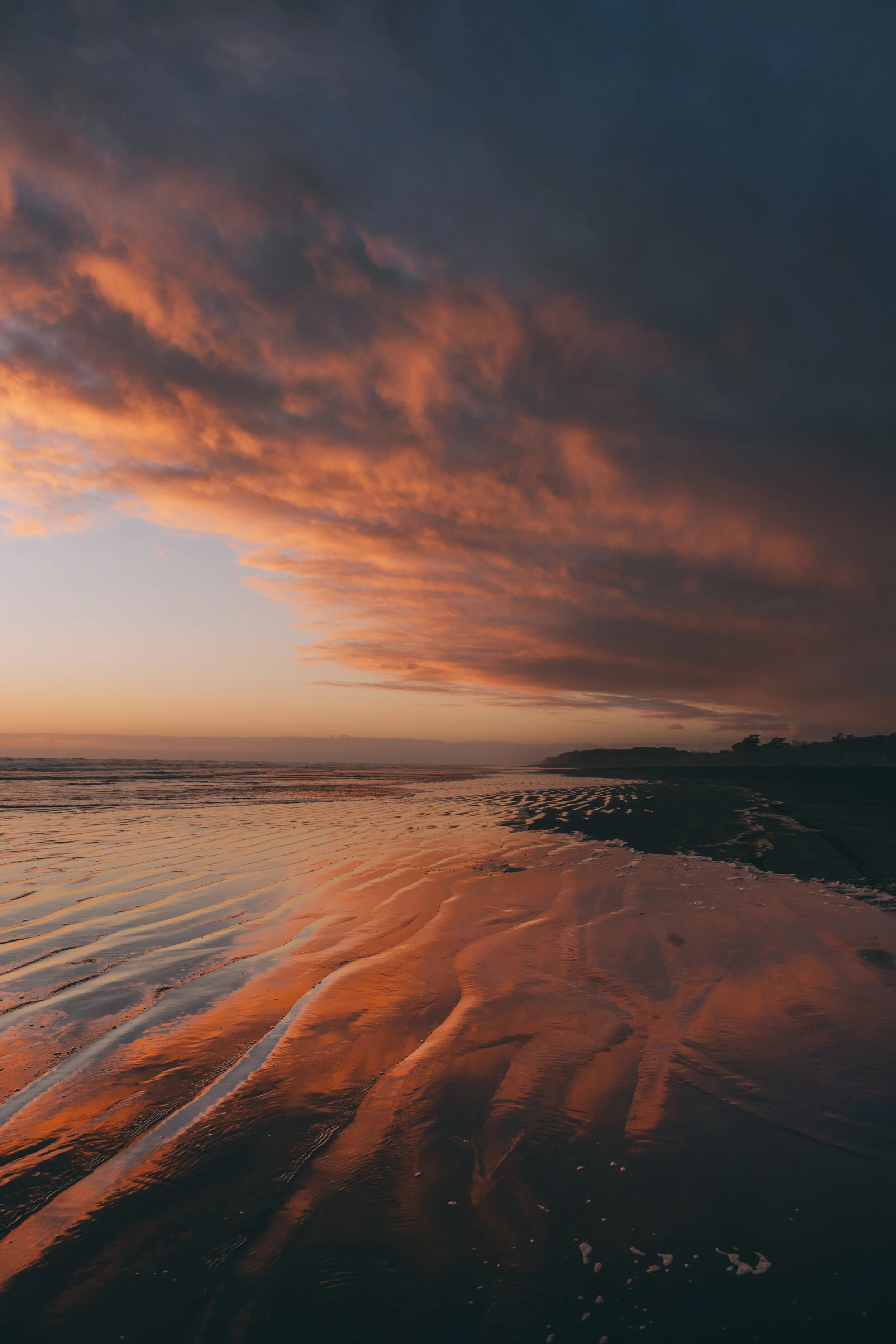 Show us ya orange bits Lola Photography.jpg