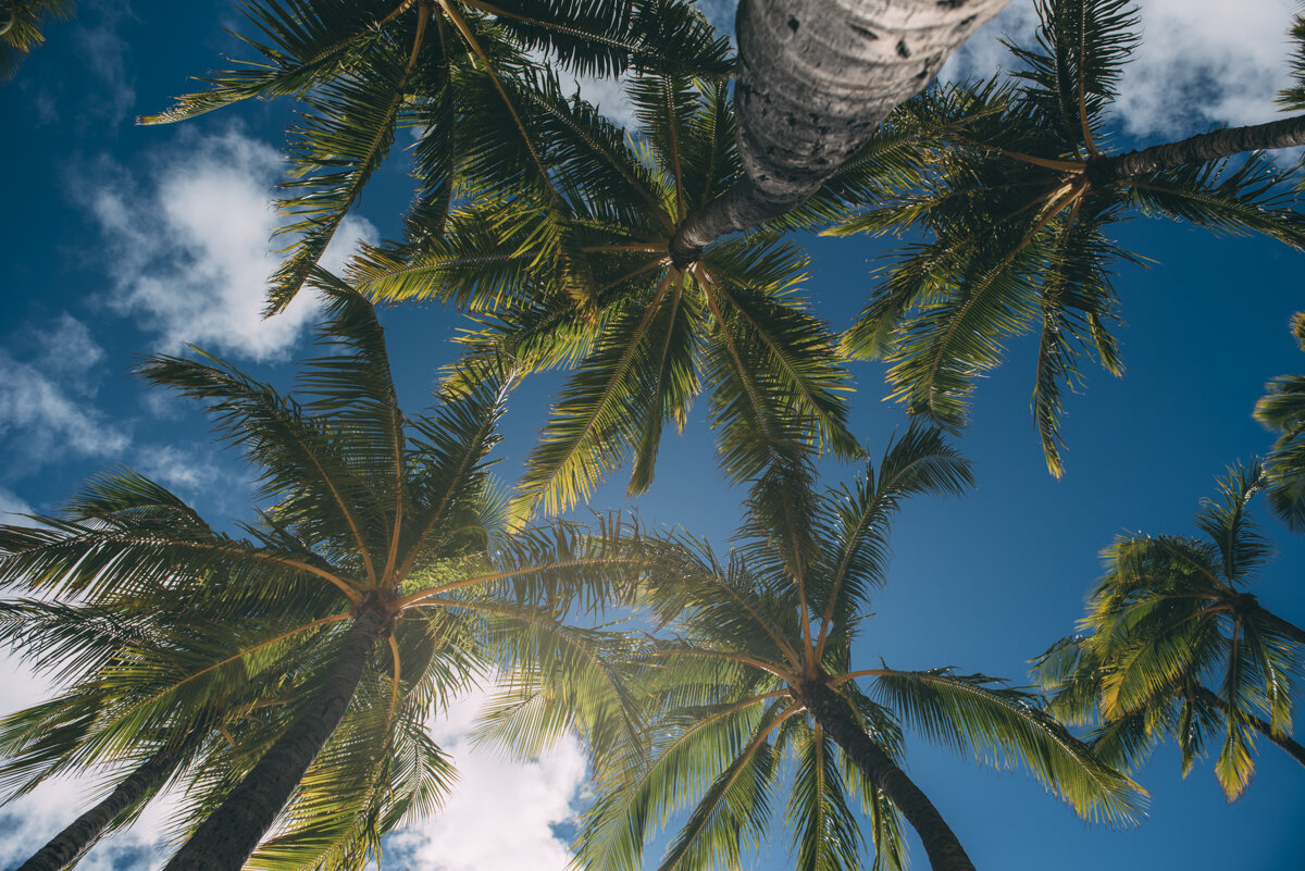 Hawaii_Blog_Lola Photography_215.jpg