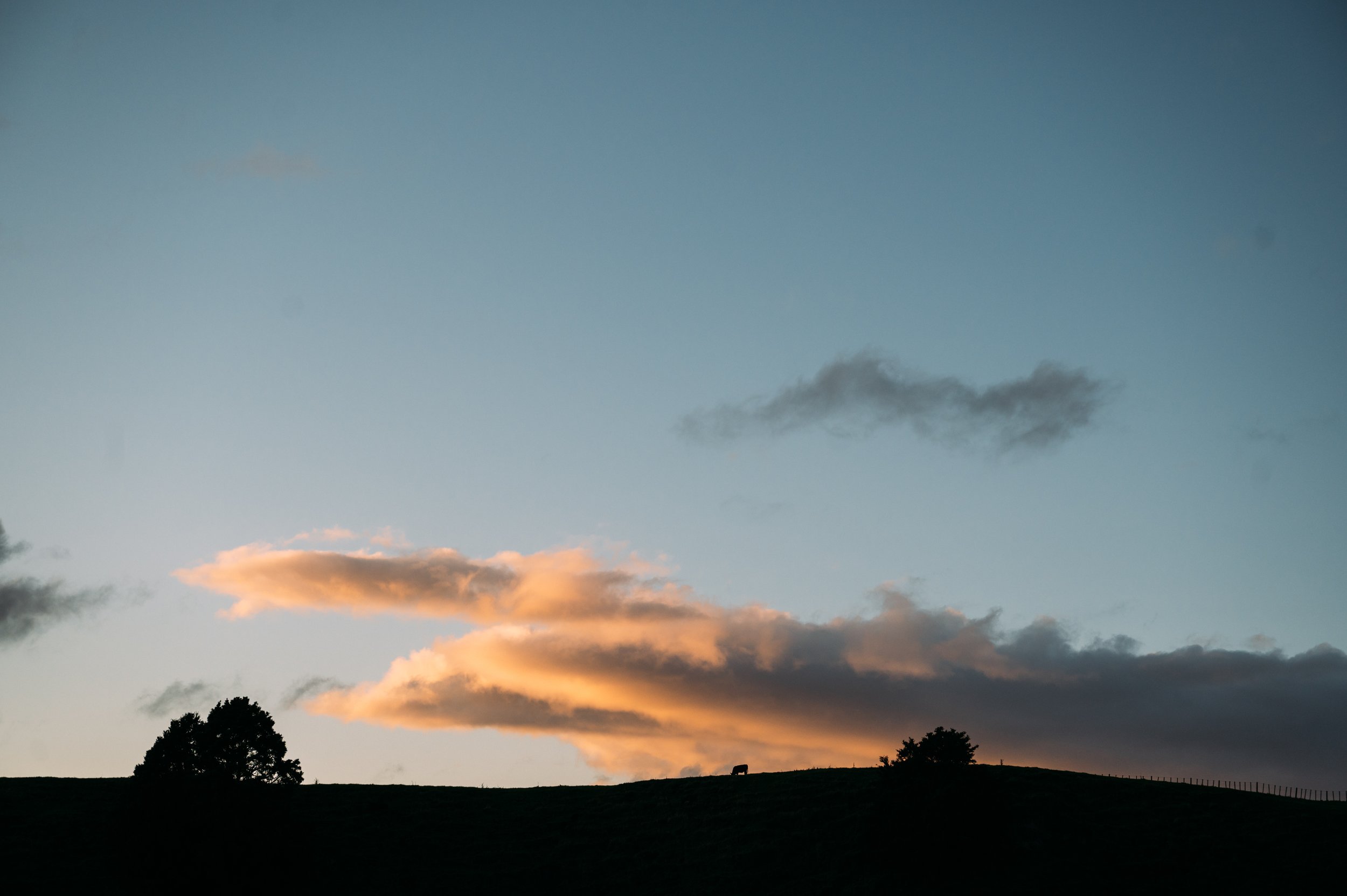 Te Awa Glamping Story_body_033.jpg