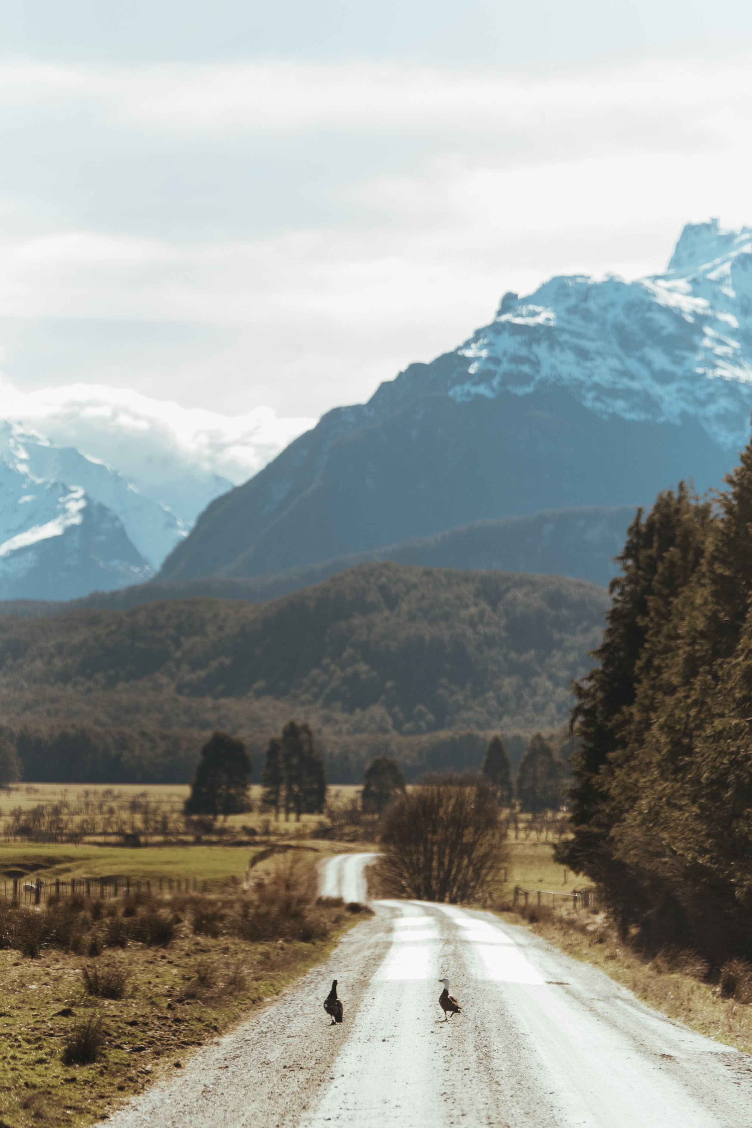 Queenstown Mount Cook Lola Photography_199.jpg