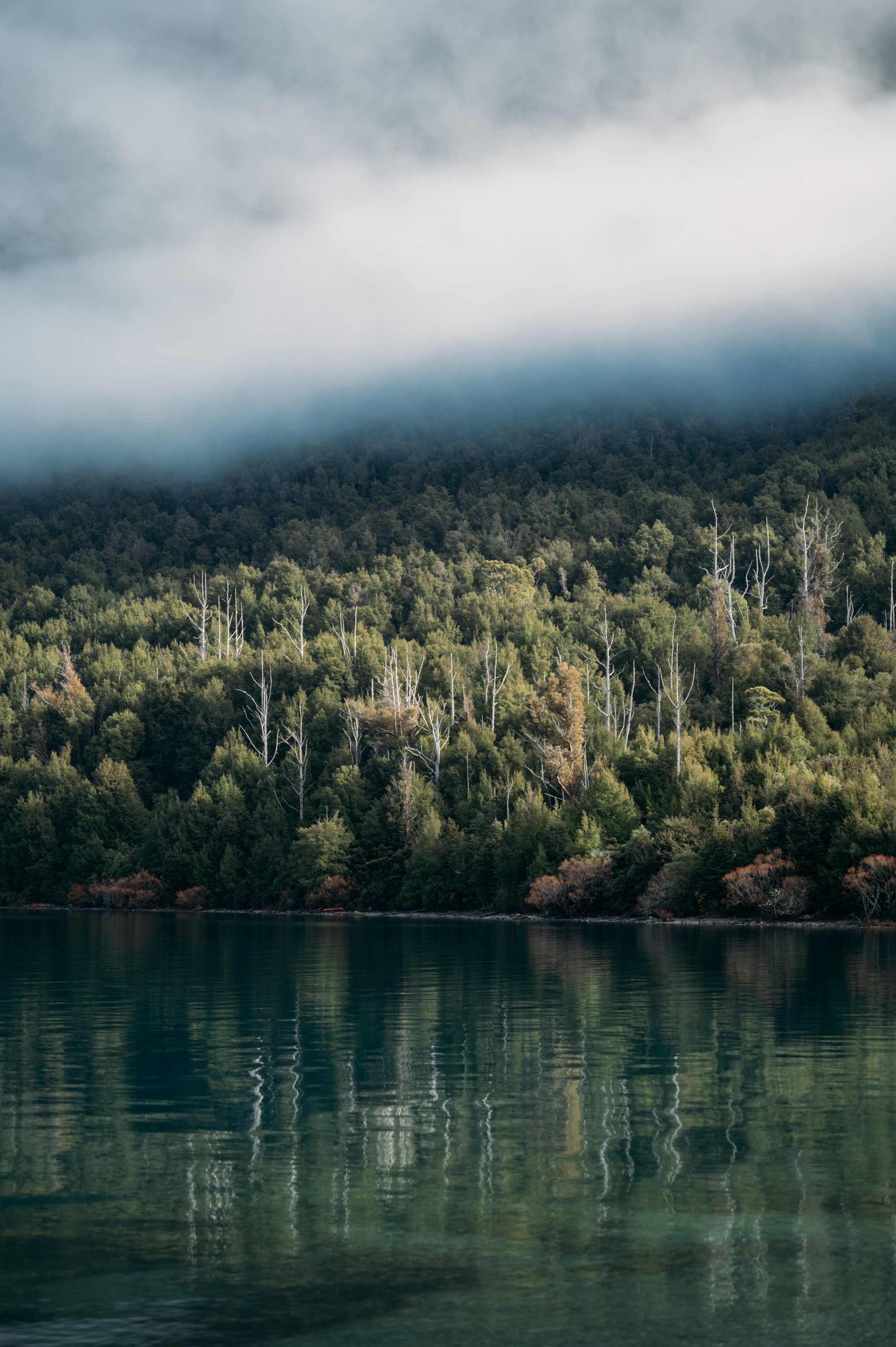 Queenstown Mount Cook Lola Photography_259.jpg