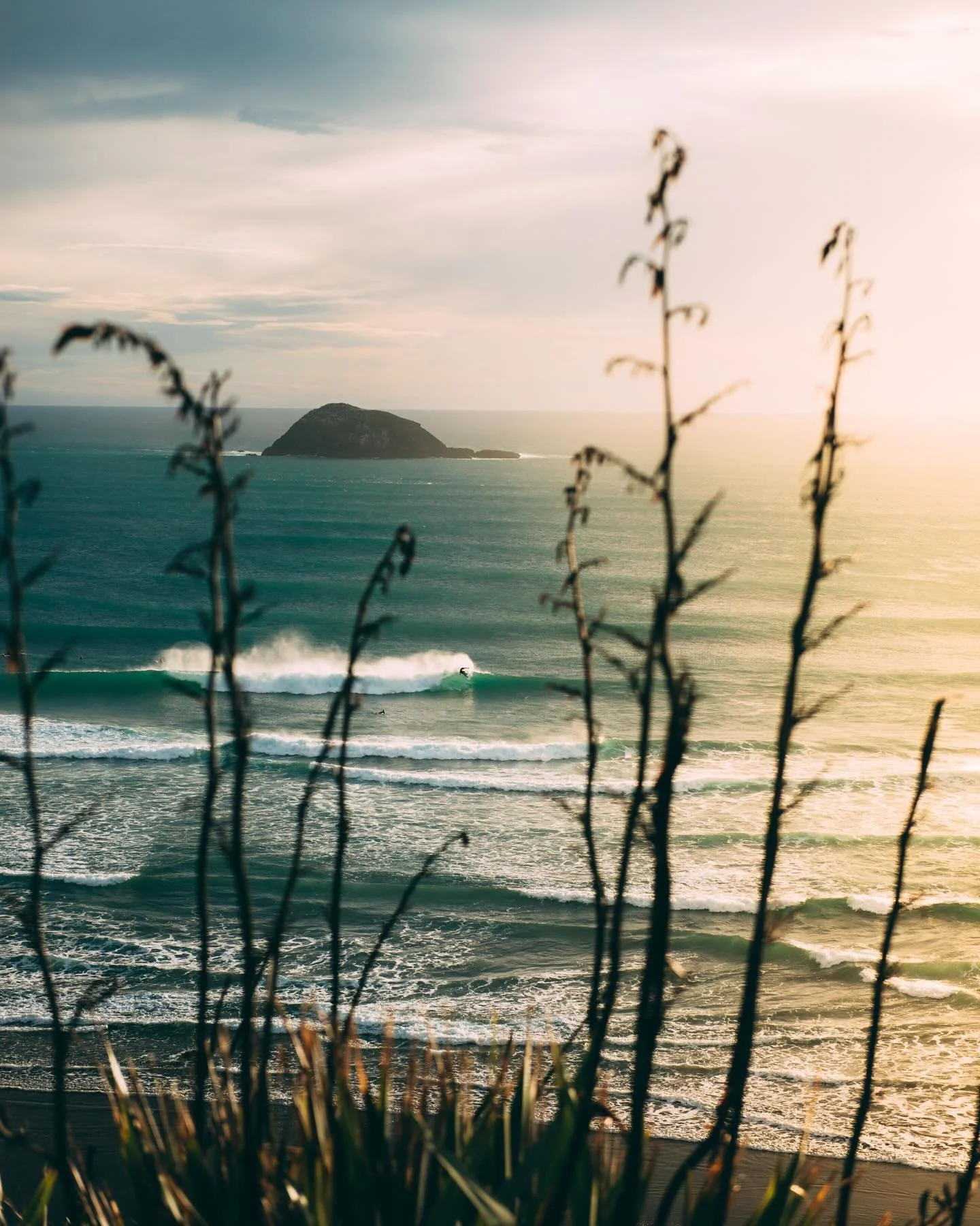 ⚡️WORKSHOP⚡️

Join me for my first ever workshop, hosted by @nikonnz for their LIVE Masterclass series! 

When: Sunday 30th March 2025
Time: 4-8pm
Where: Maukatia/Māori Bay, Muriwai Auckland
Price: $50 NZD ($20 of every ticket sale donated to @sustai