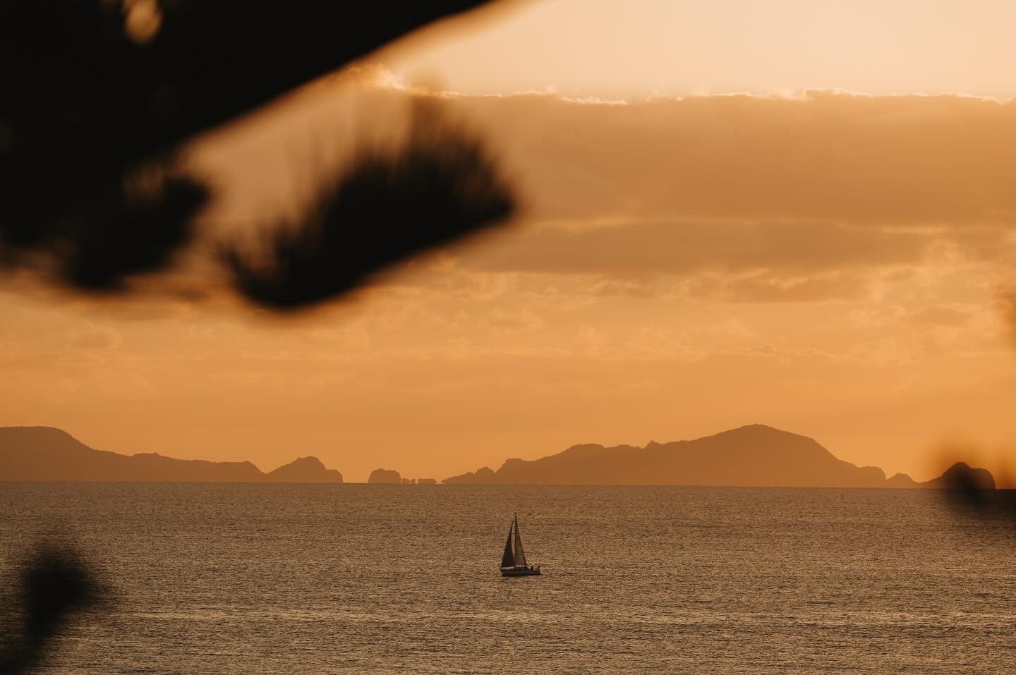 Lil rewind to some tasty summer morsels 🤌🏼

Full unprompted power stance from the bro in the last photo. Clearly a photographers son 😅