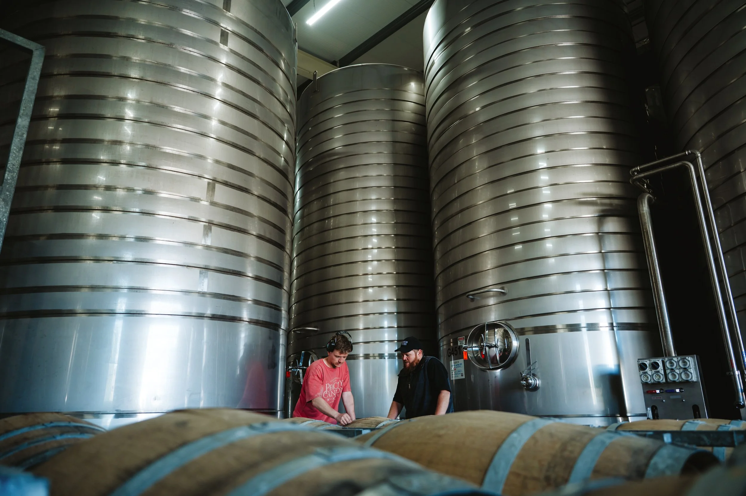 Babich Wines Harvest Work Showcase_ WEB_Lola Photography_05.jpg