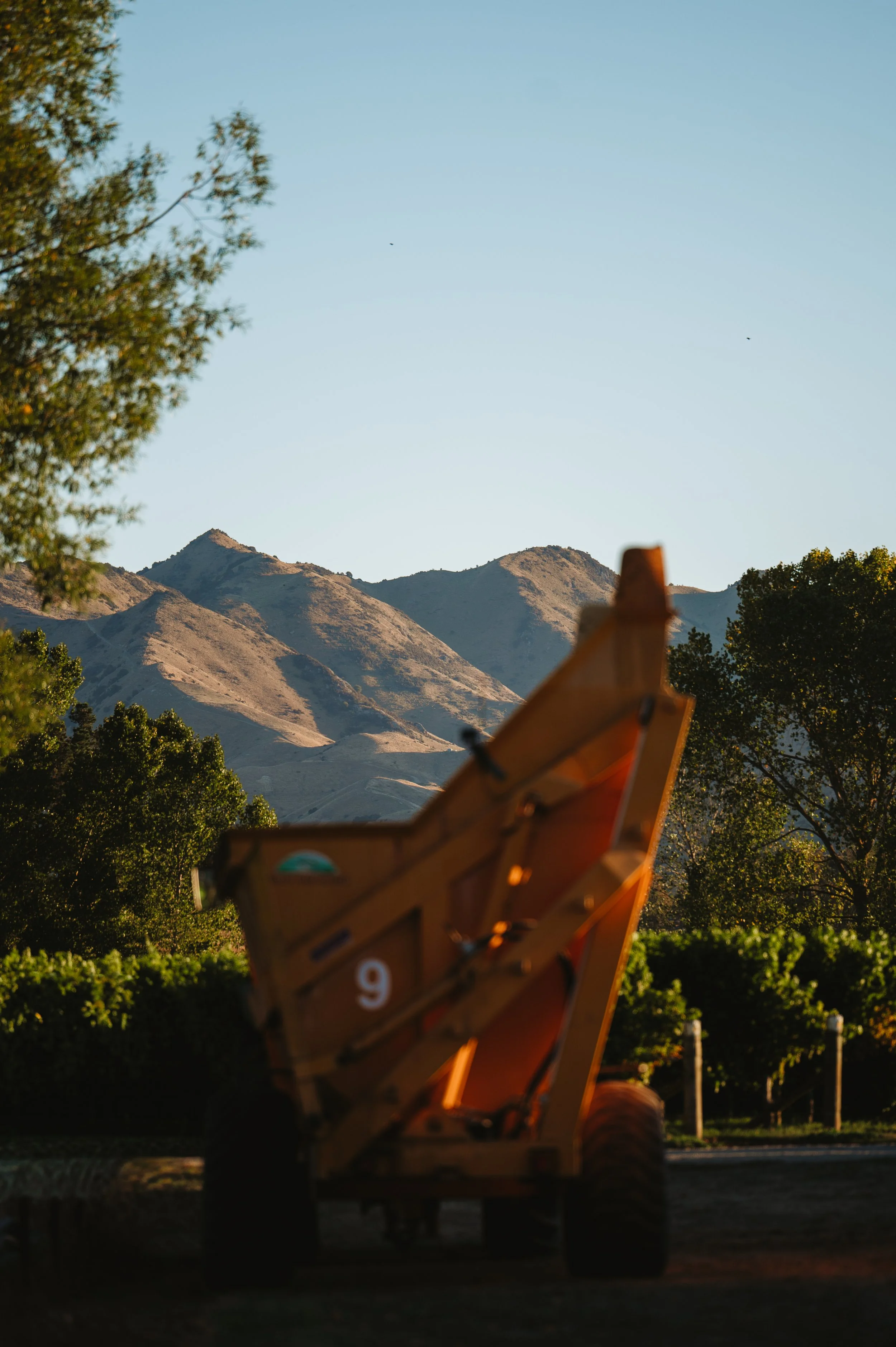 Babich Wines Harvest Work Showcase_ WEB_Lola Photography_58.jpg