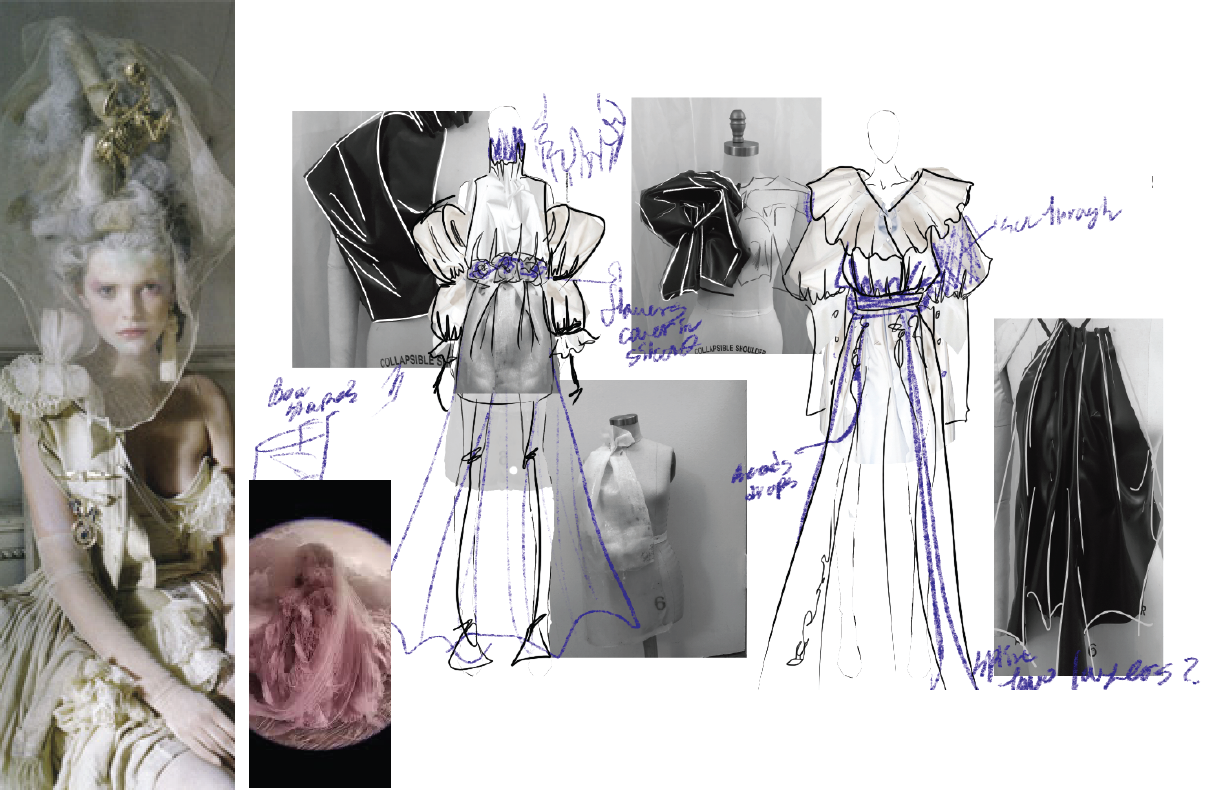Through the Looking( In progress)  -11.png