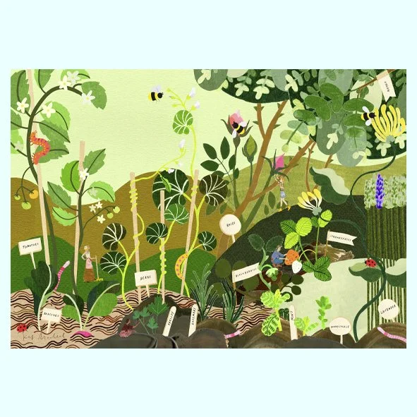 AllAroundtheGarden1.jpg