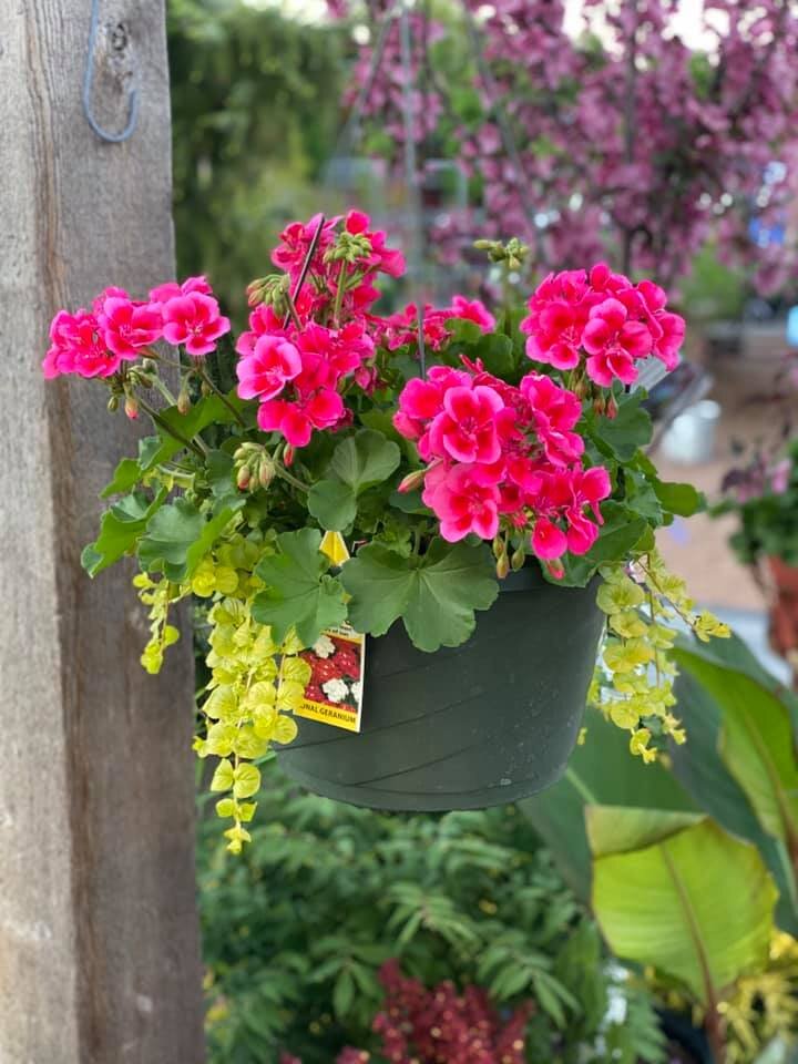 Hanging Baskets Galore — Superior Lawn & Landscape