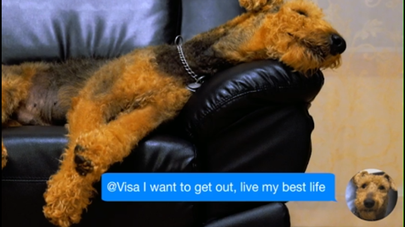 SenateSHJ-Pay-with-Woof.png
