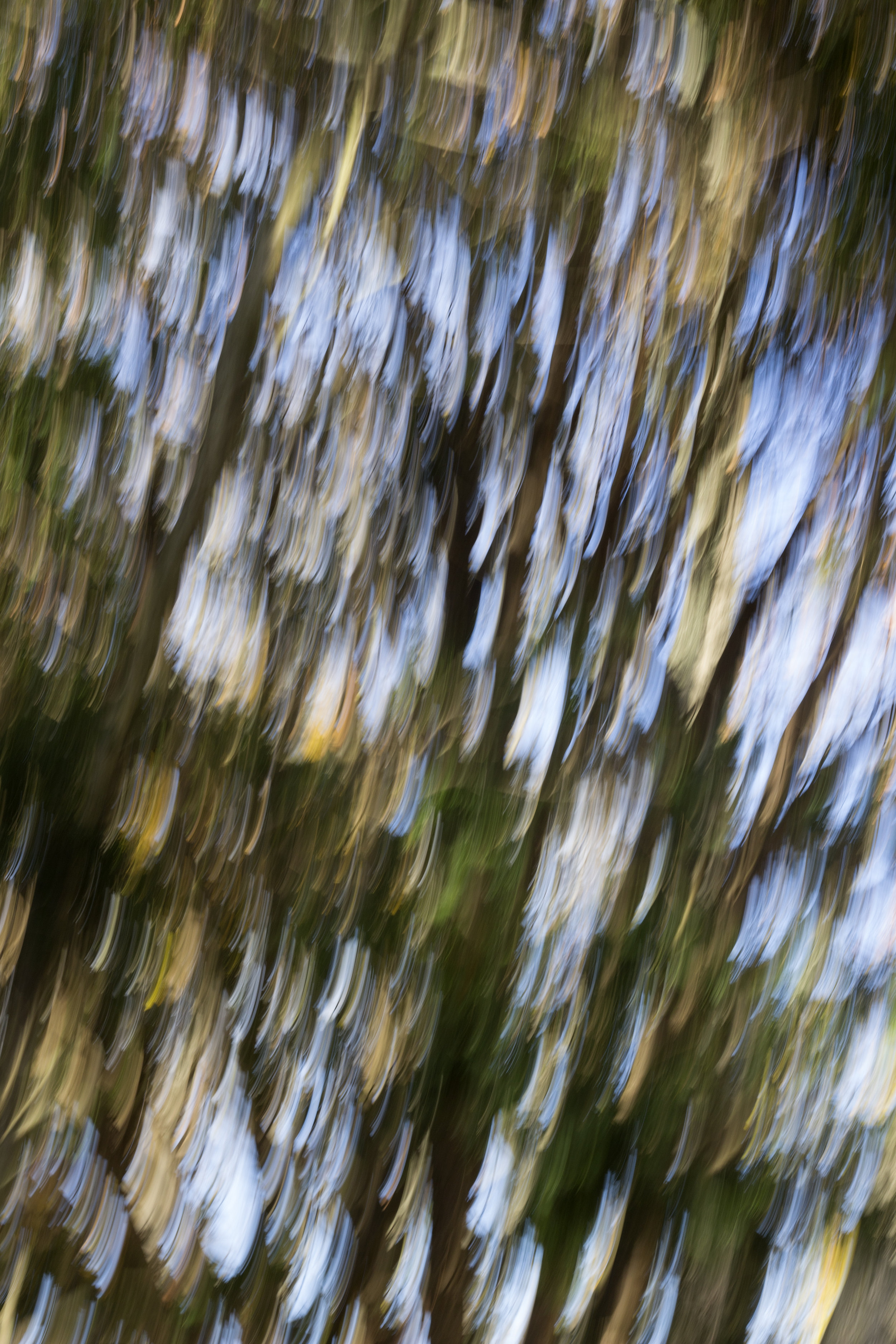 IMG_6120.jpg