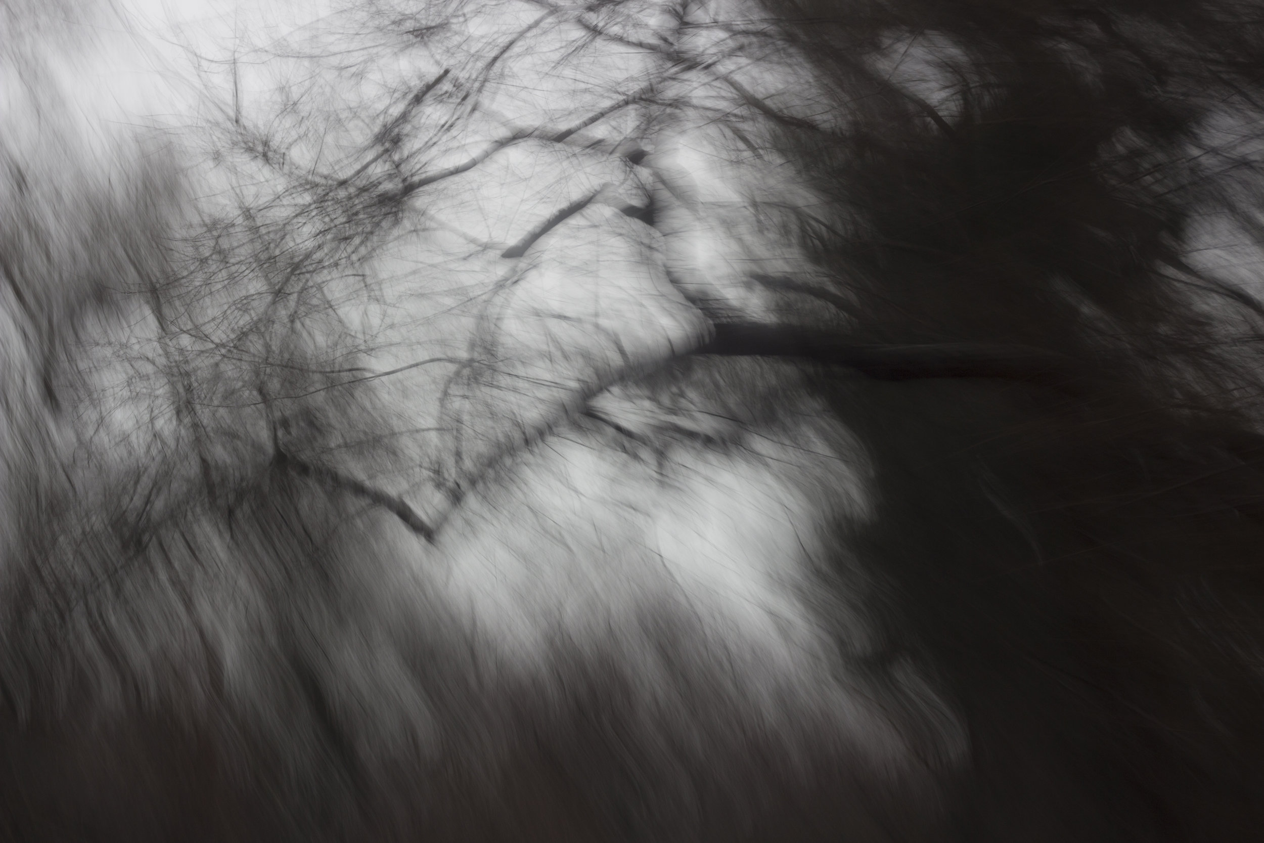 Ghosts Among Us