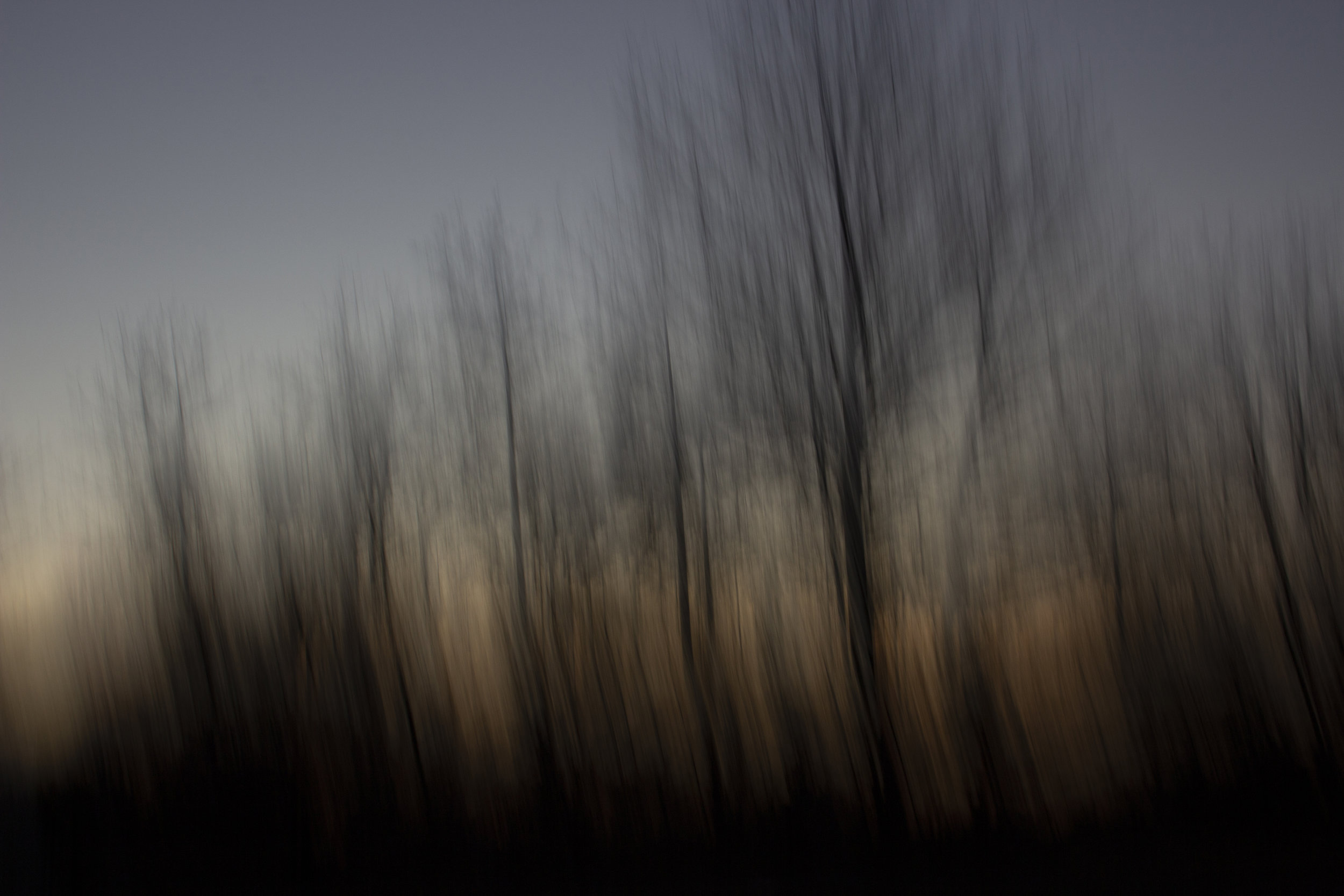 Fire in the Woods