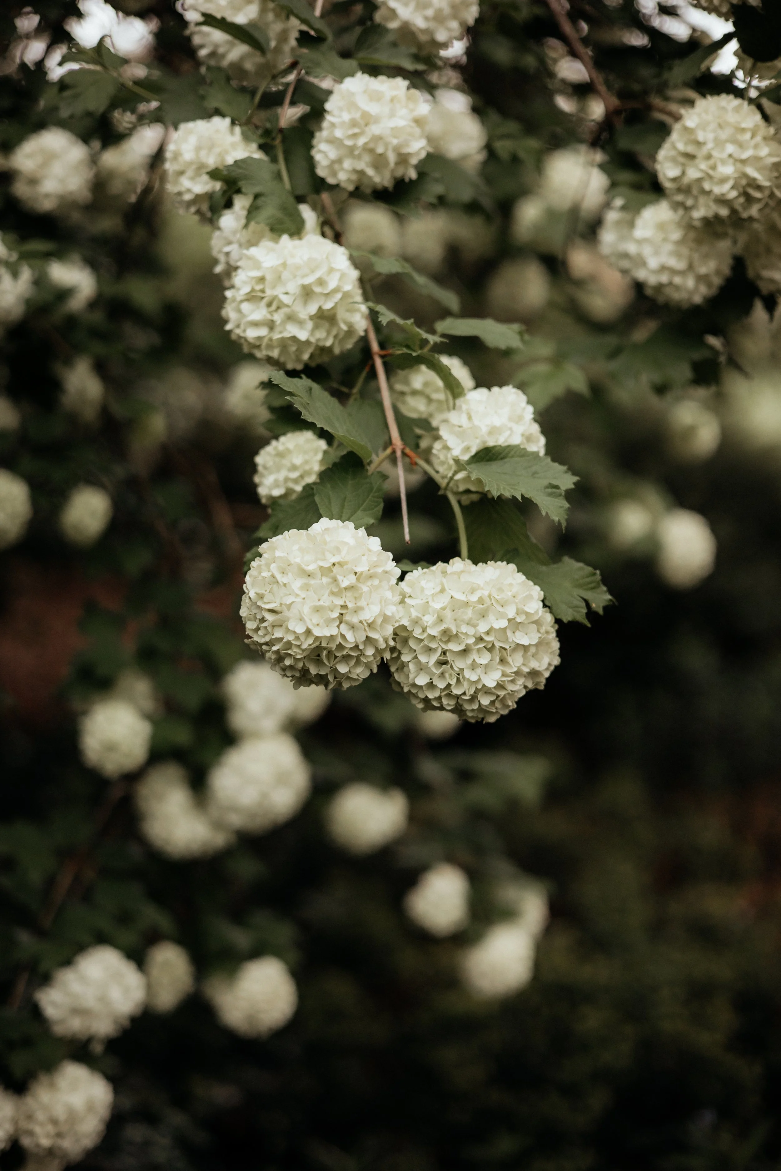 Sam and Jess-283.jpg