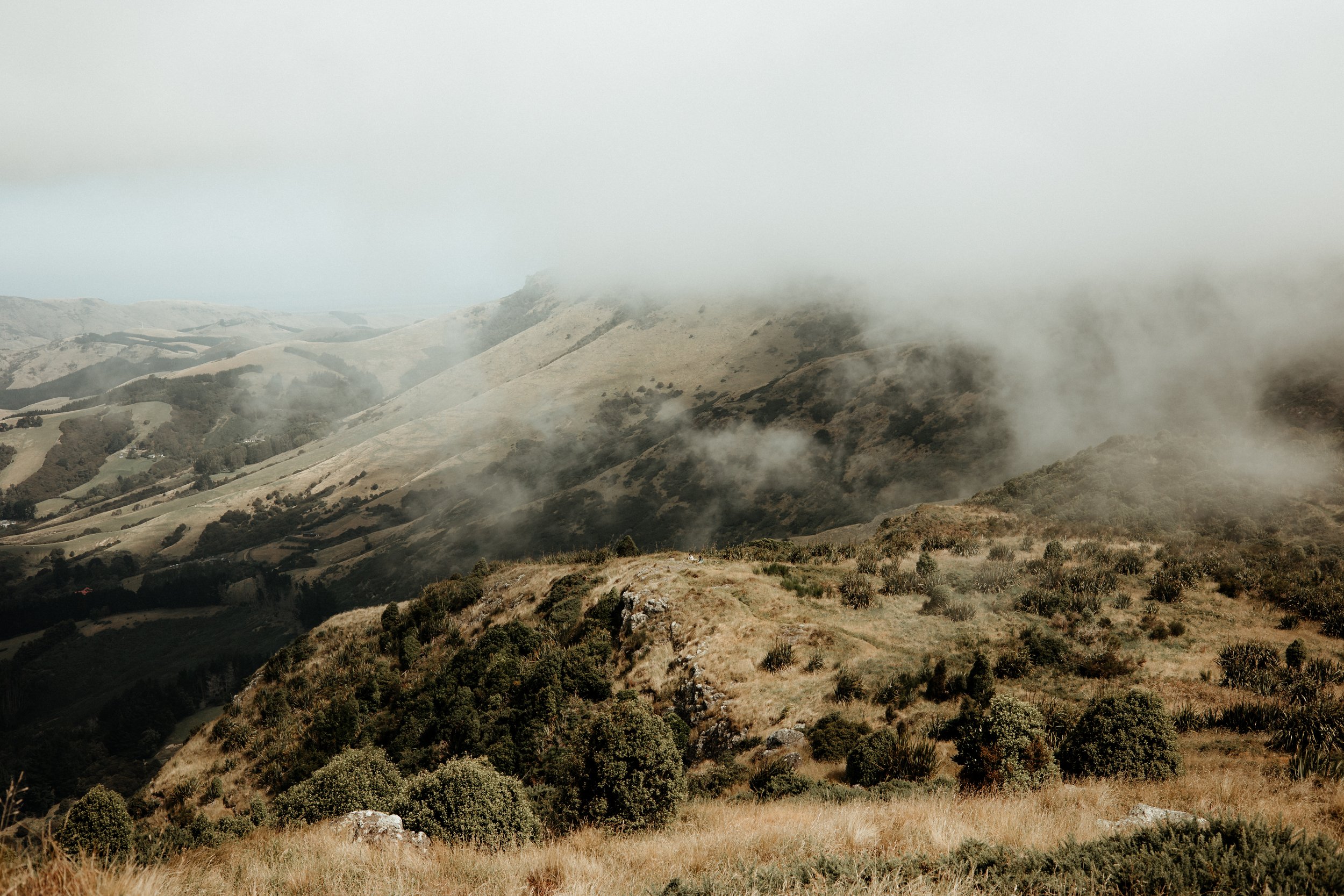 Jack and Rata-285.jpg