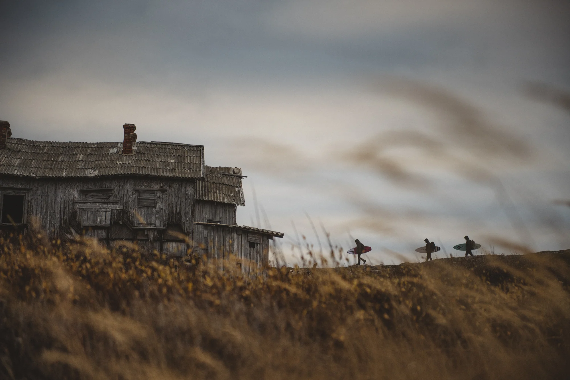 Russia - Roark Revival