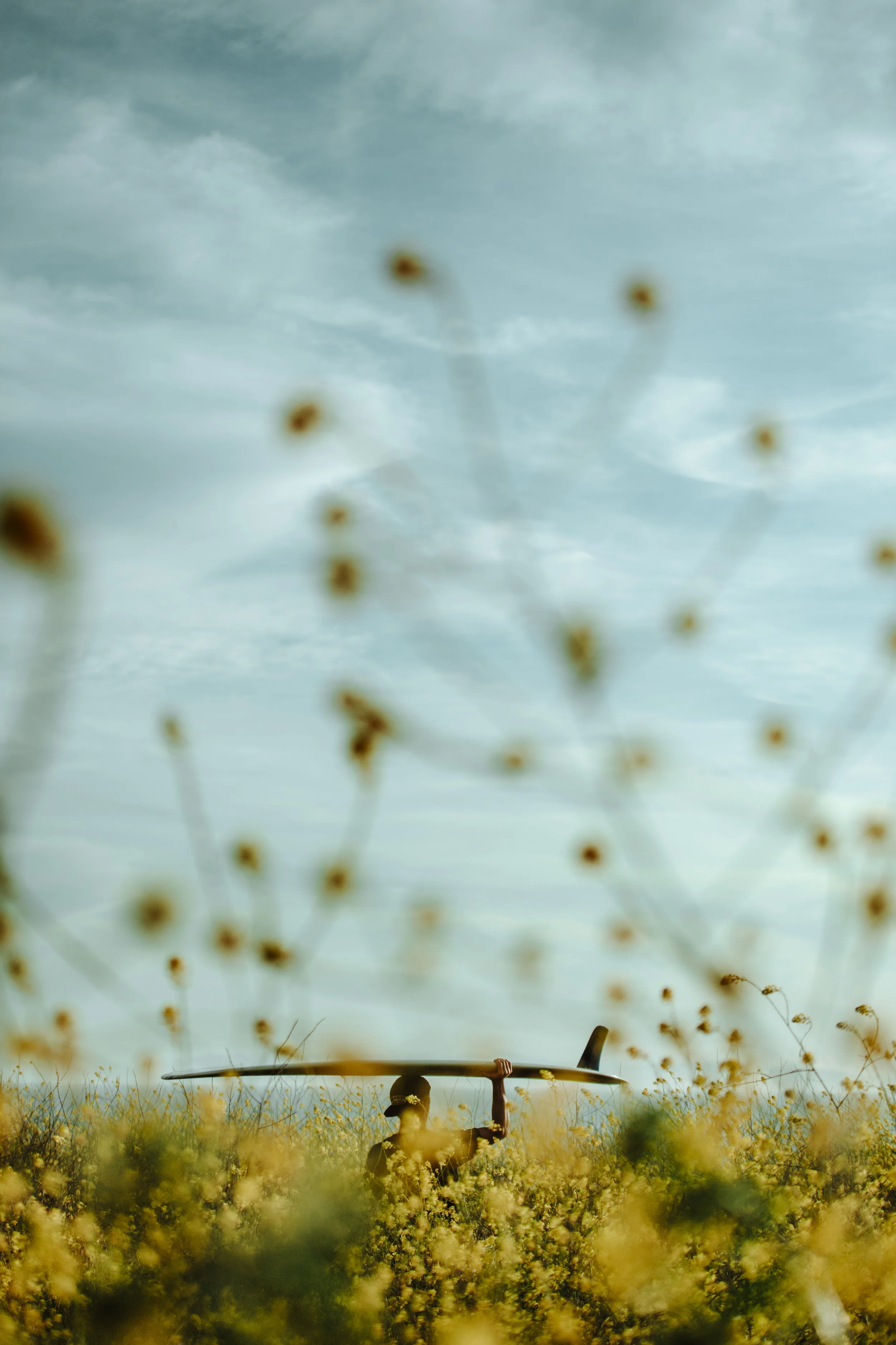 JR Watson, California - Almond Surfboards