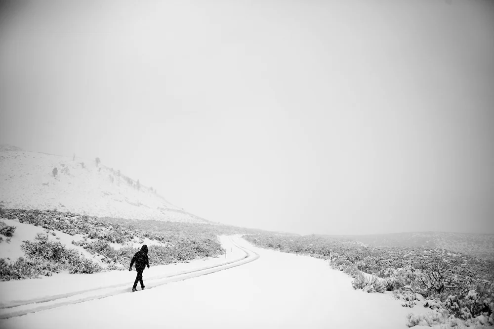 California - Iron and Resin