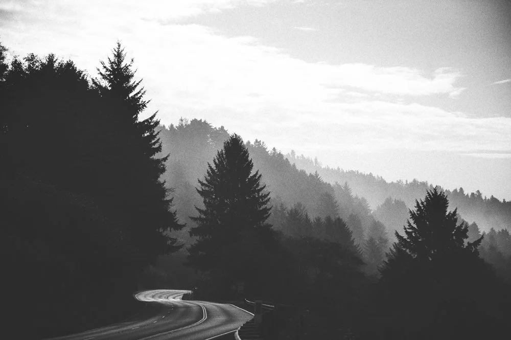 _DSC3996 as Smart Object-1.JPG