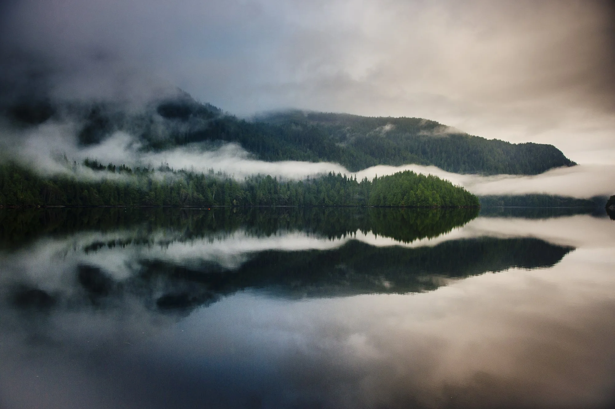 Gordon_DSC1831 copy.JPG