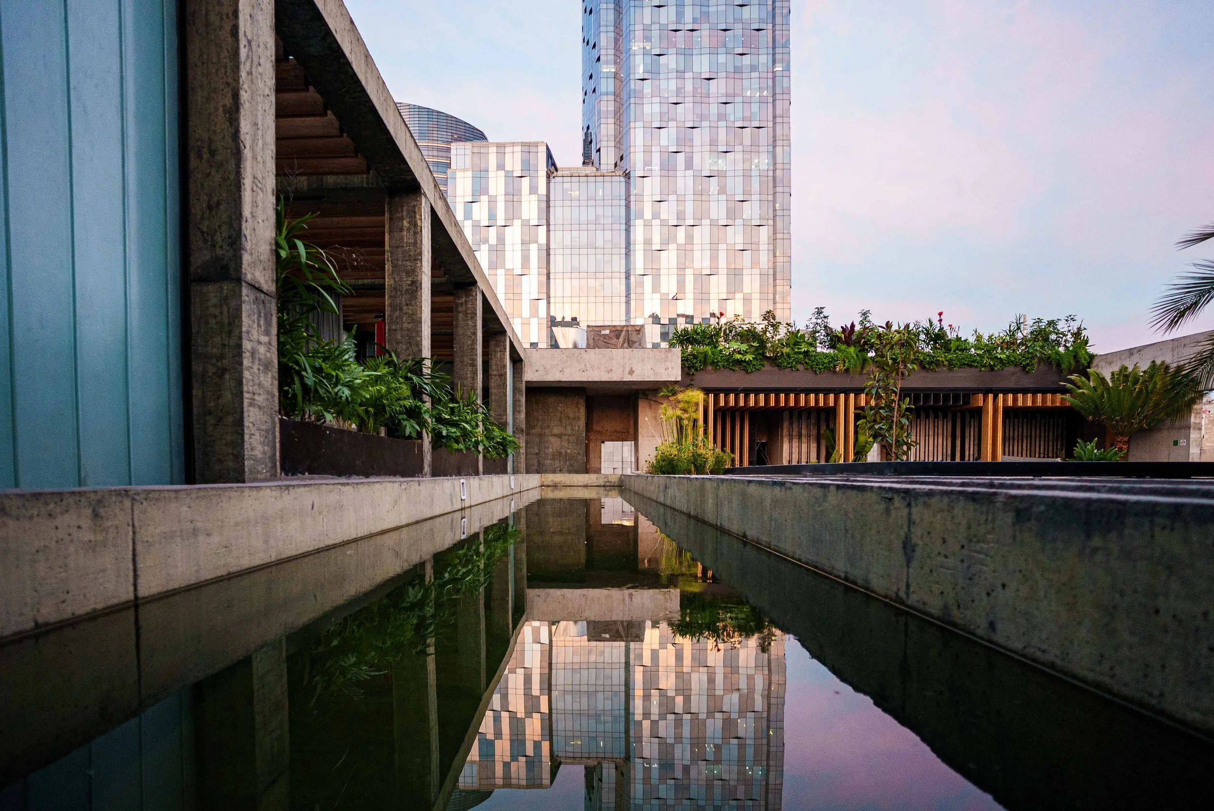 Hotel Volga Mexico City Review: An Experience In The Heart Of CDMX