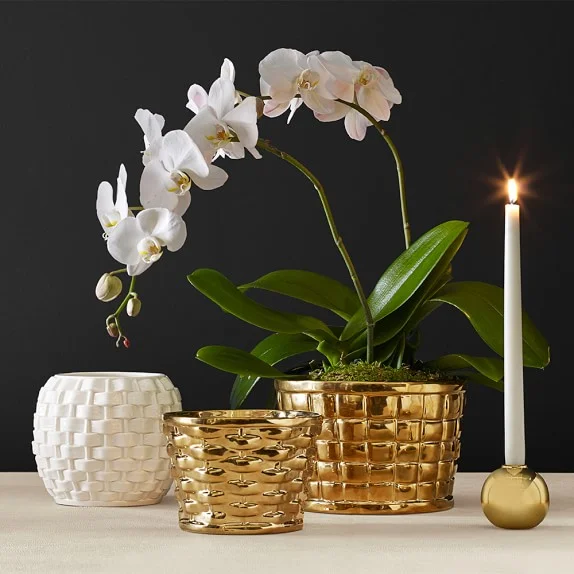 AERIN Gold Woven Cachepots
