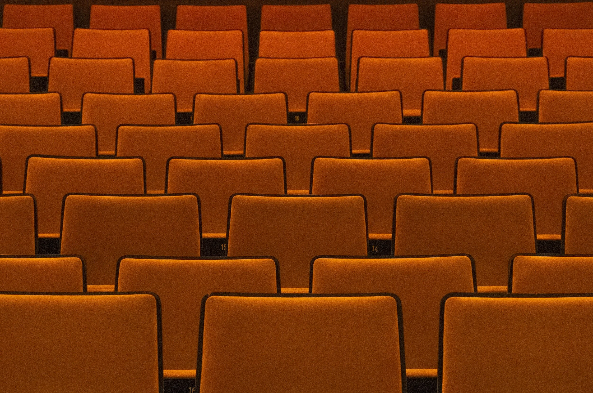 The 5 Steps You need to work on to score a Distinction for A Level Economics