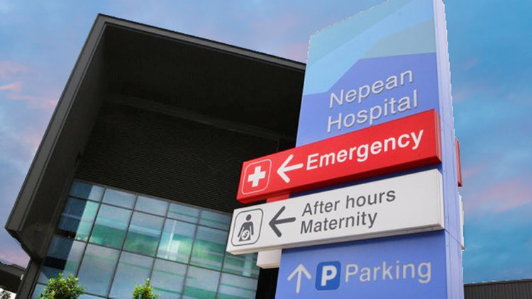 Nepean Hospital — Dr Matthew Winter