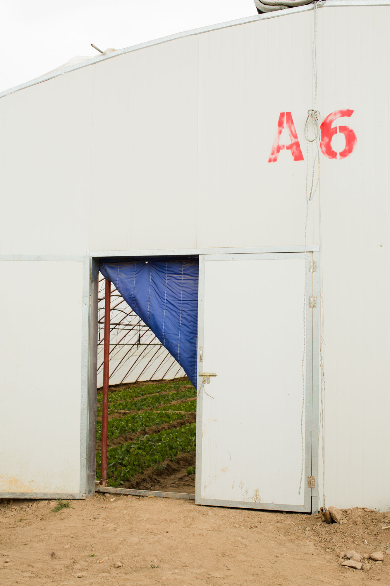 NYT1507AKHO-099.JPG