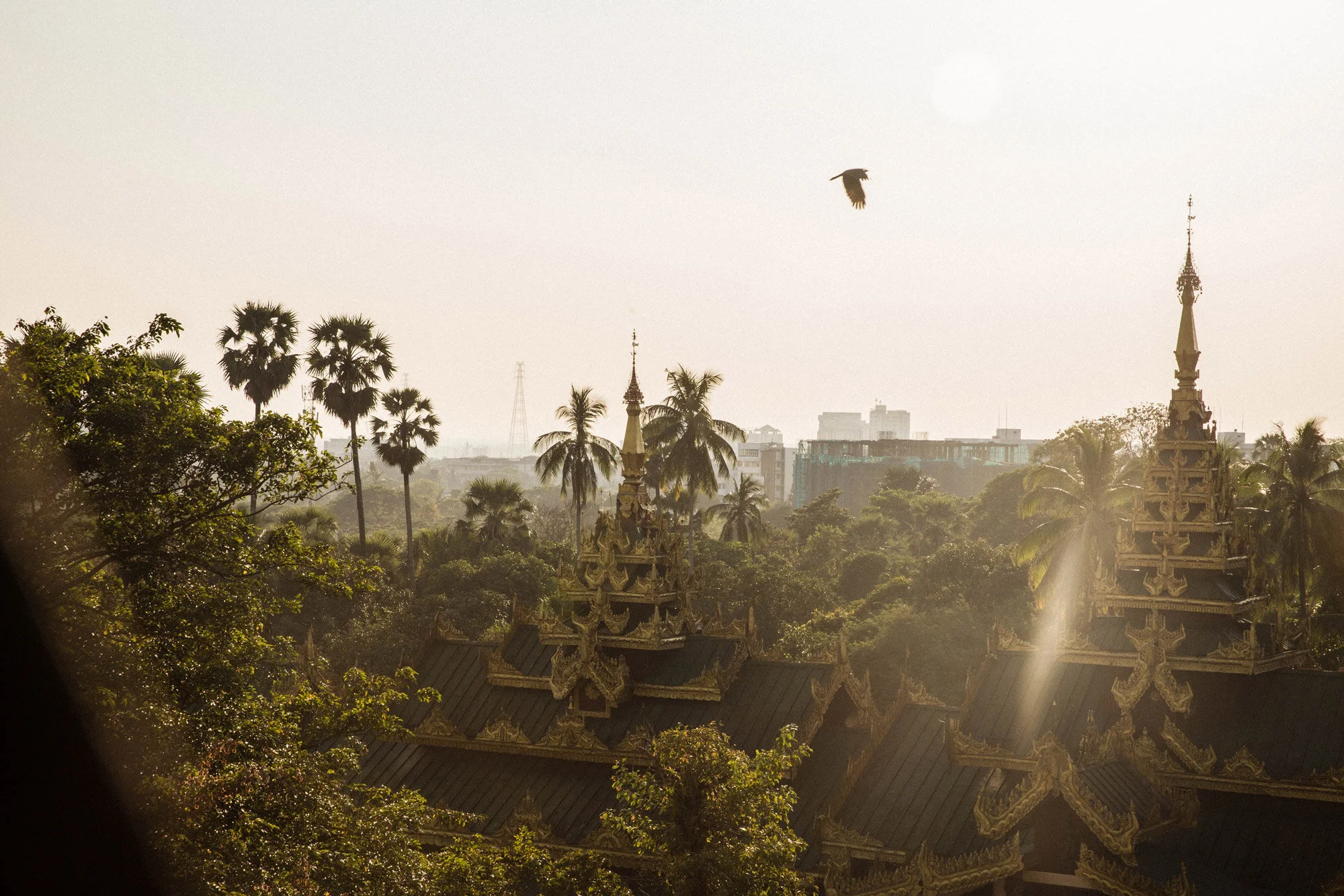 HK Tatler, Yangon Rising