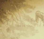 4.gif