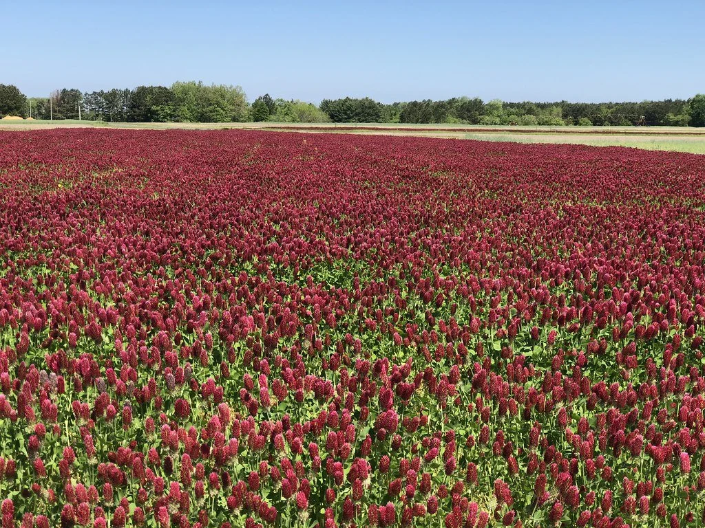 Land Core Newsletter - May 2022