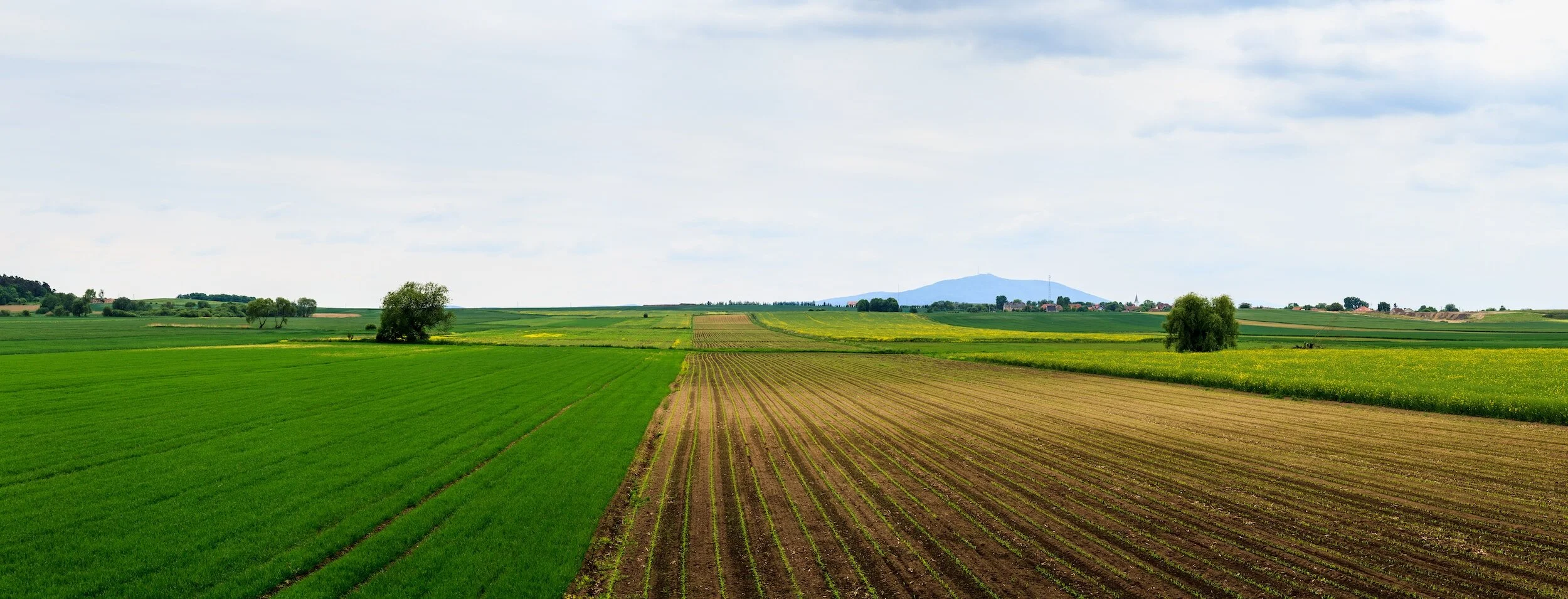 Magnolia Reporter: Can no-till farming mean lower interest rates for producers?