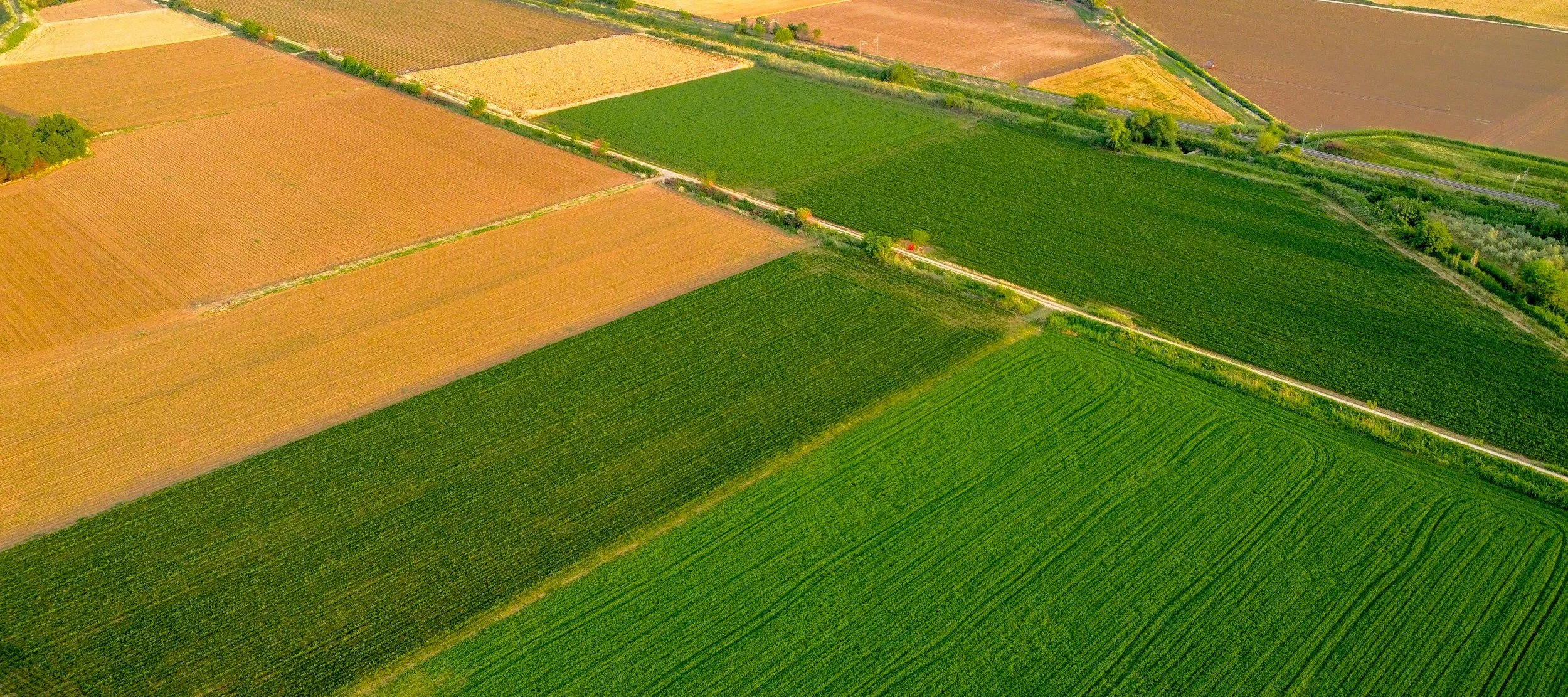 Unveiling Beta Version of Interactive Soil Health Risk Model Tool