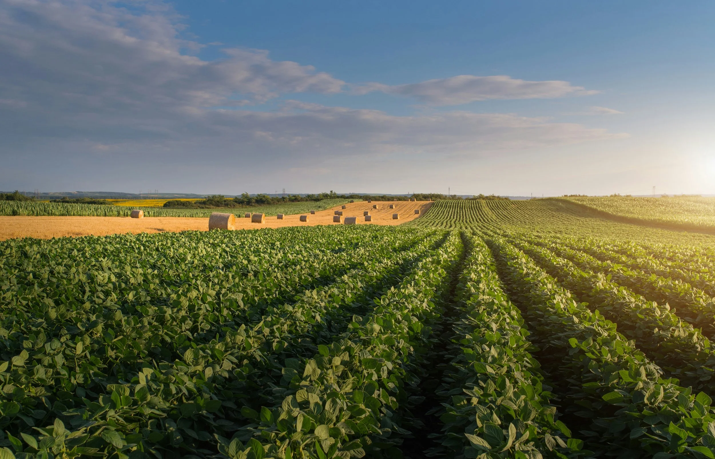 Sign the Letter of Support for the SOIL HEALTH Practices Act