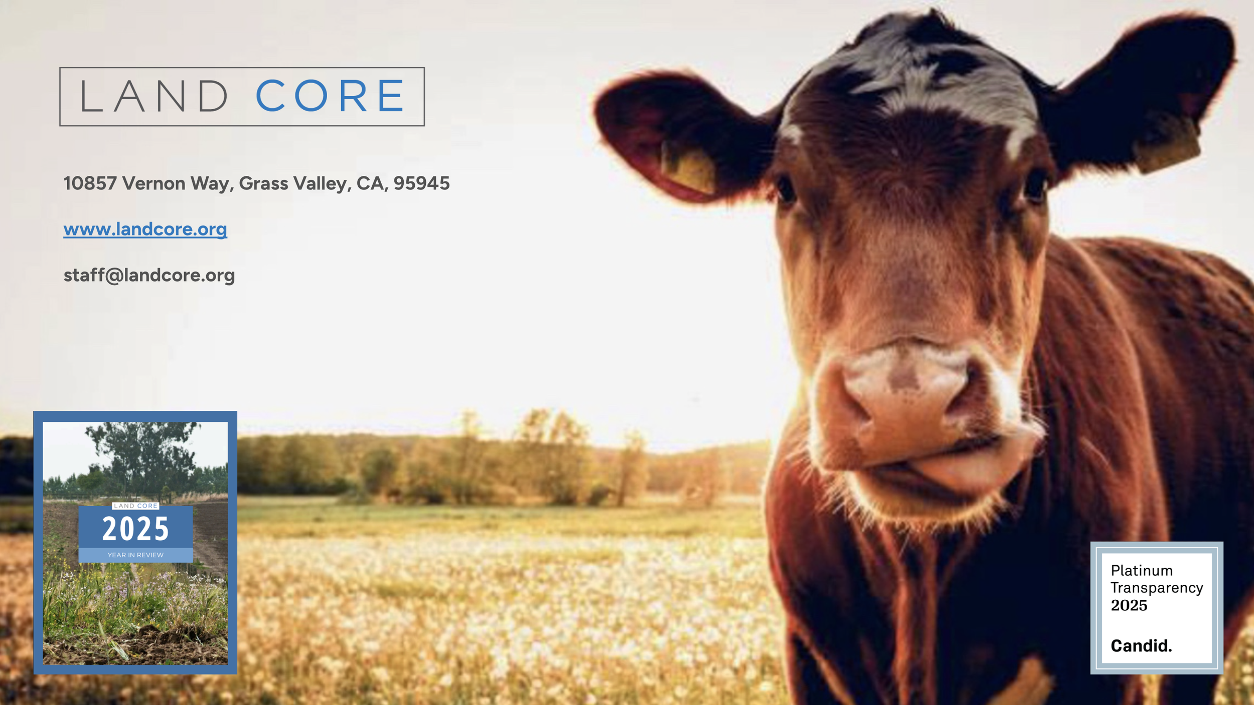 Screenshot 2026-03-18 at 9.20.02 PM.png