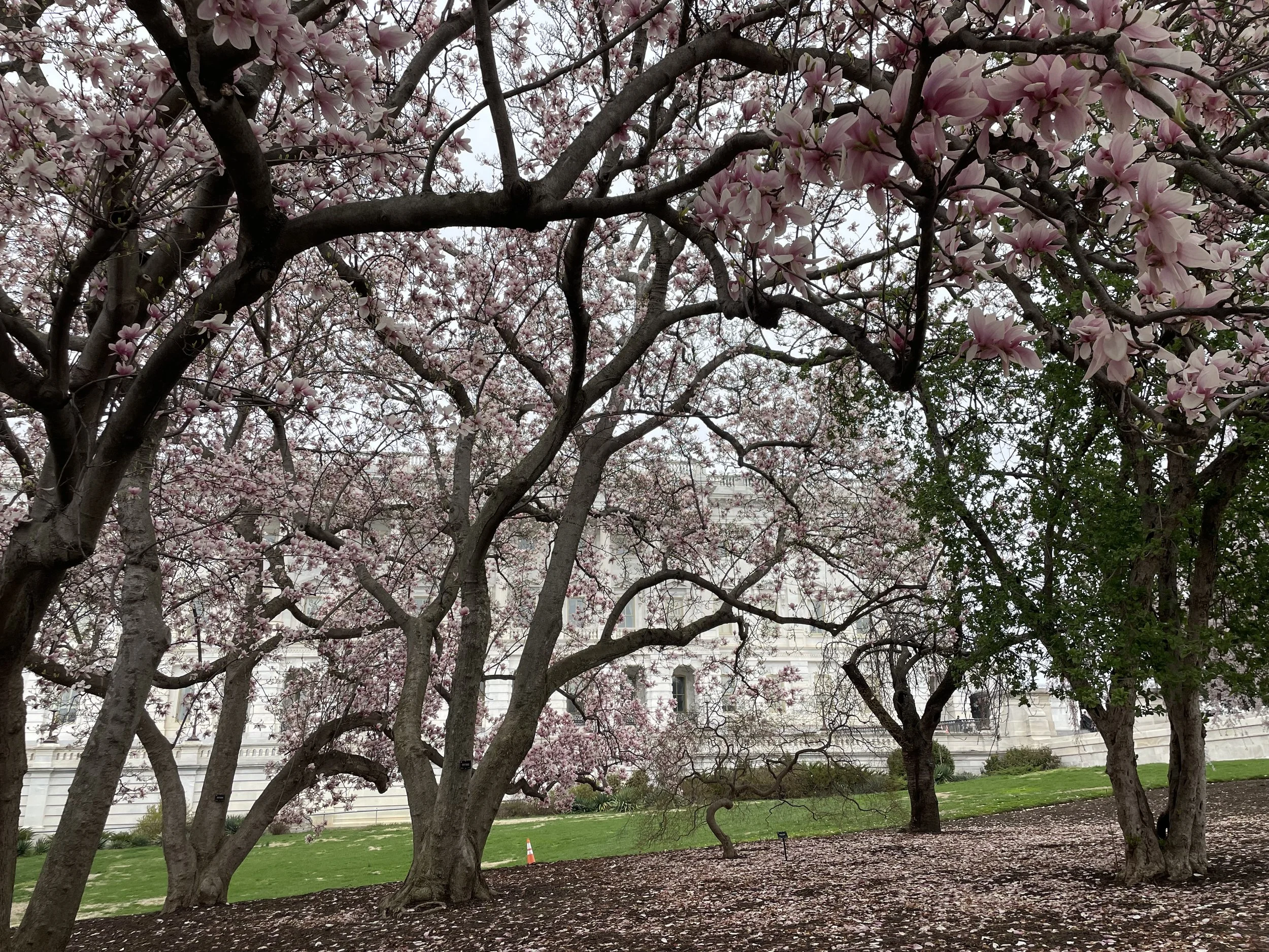 House Farm Bill Marker Bills