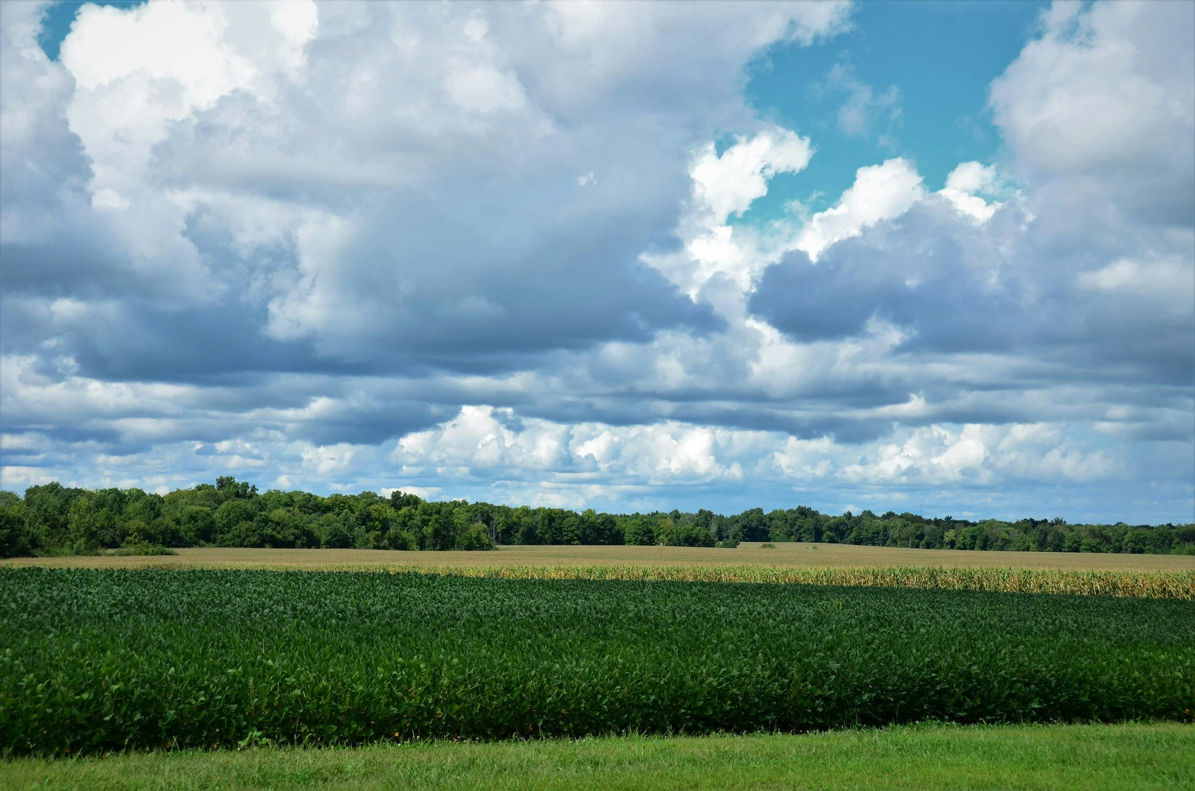 Land Core’s New 1-Pager - “The Economic Value of Soil Health: Less Risk, More Resilience”