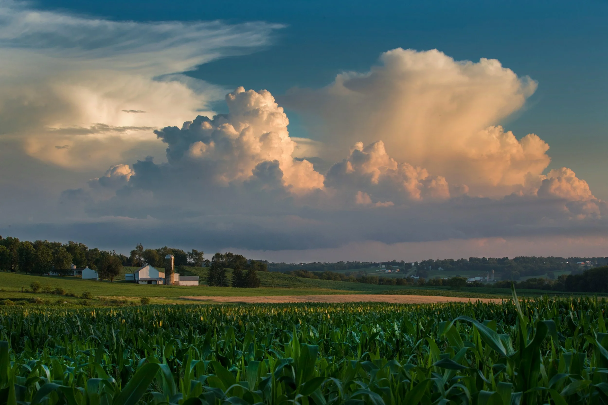 Senate Farm Bill Overview: Key Areas of Interest