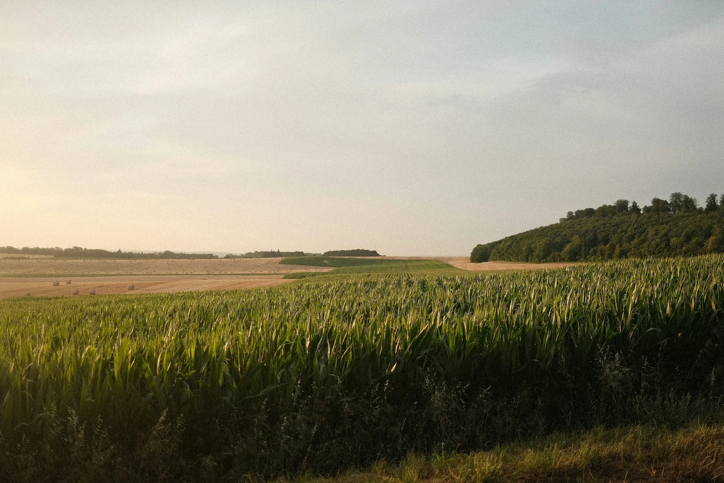 Land Core Newsletter - July 2026